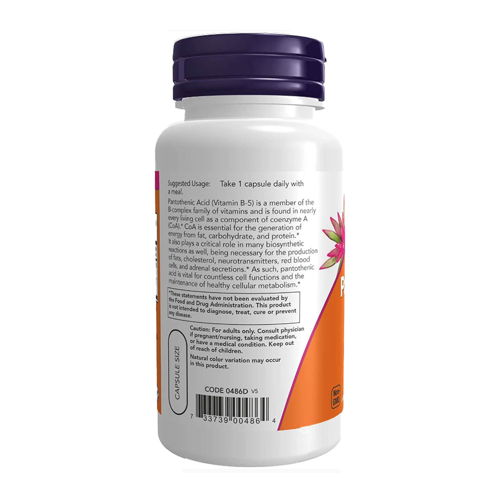 Pantother Acid 500mg Now Foods Vitamin B Complex 100cap