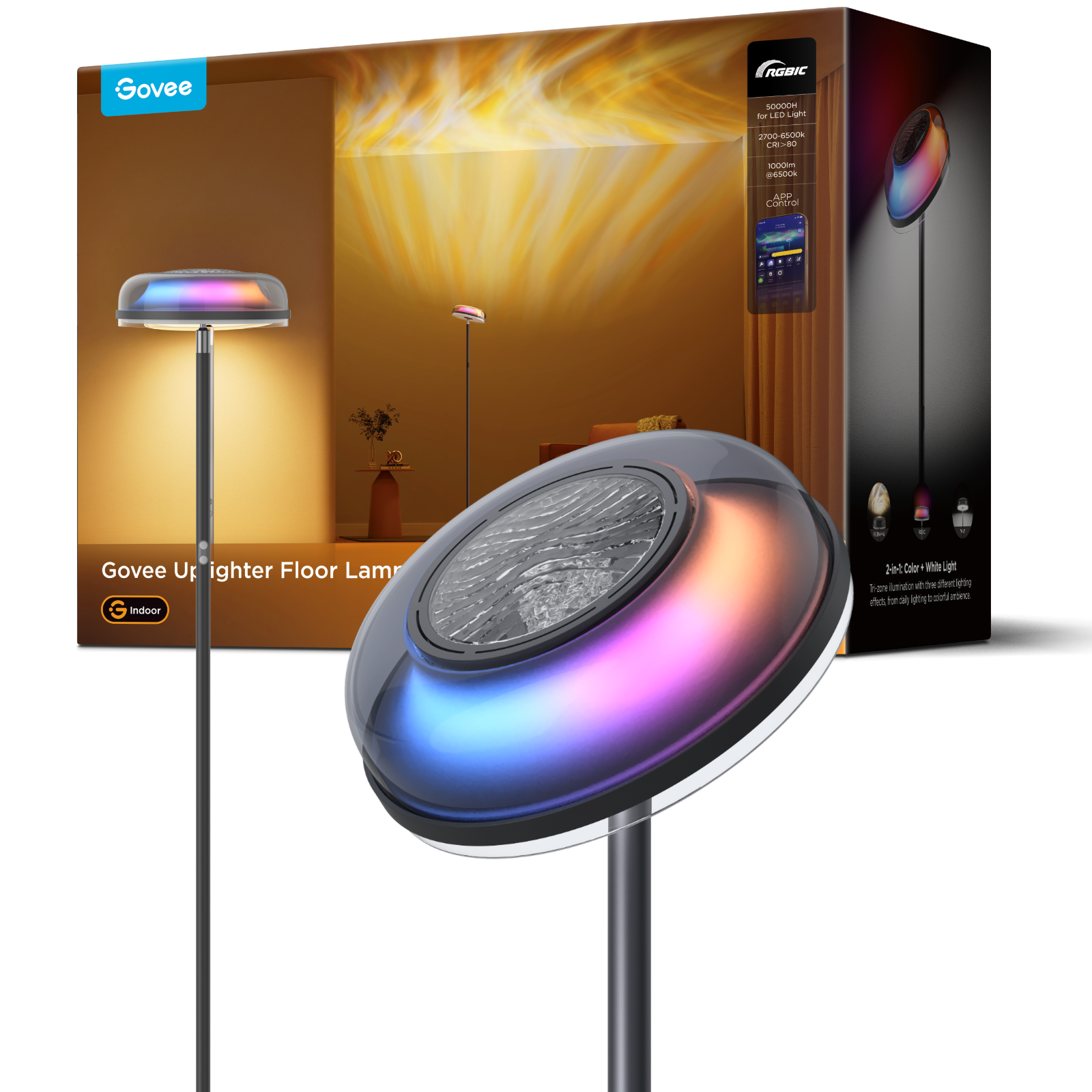 RGBIC FLOOR LAMP
